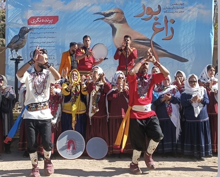 جشنواره گردشگری سفر به زیستگاه زاغ بور
